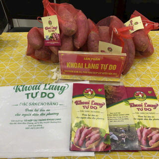 Khoai lang Tự Do