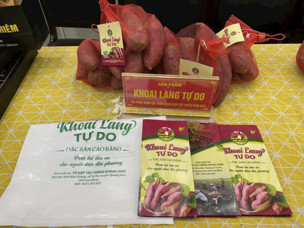 Khoai lang Tự Do